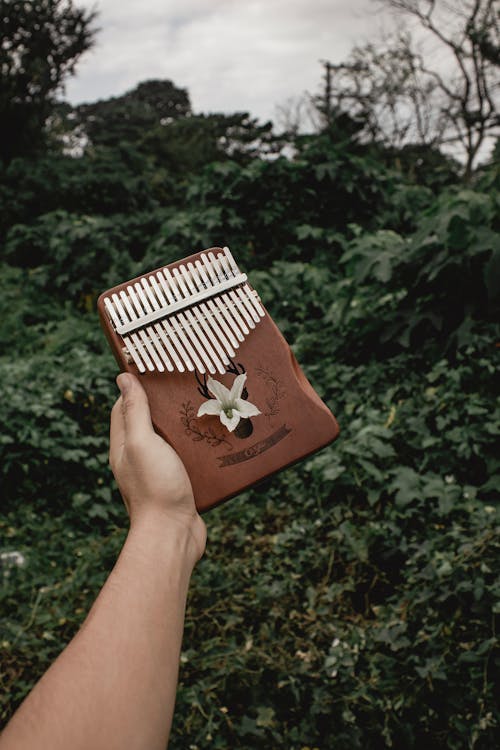 Free Photo of a Person Holding a Wooden Kalimba Stock Photo