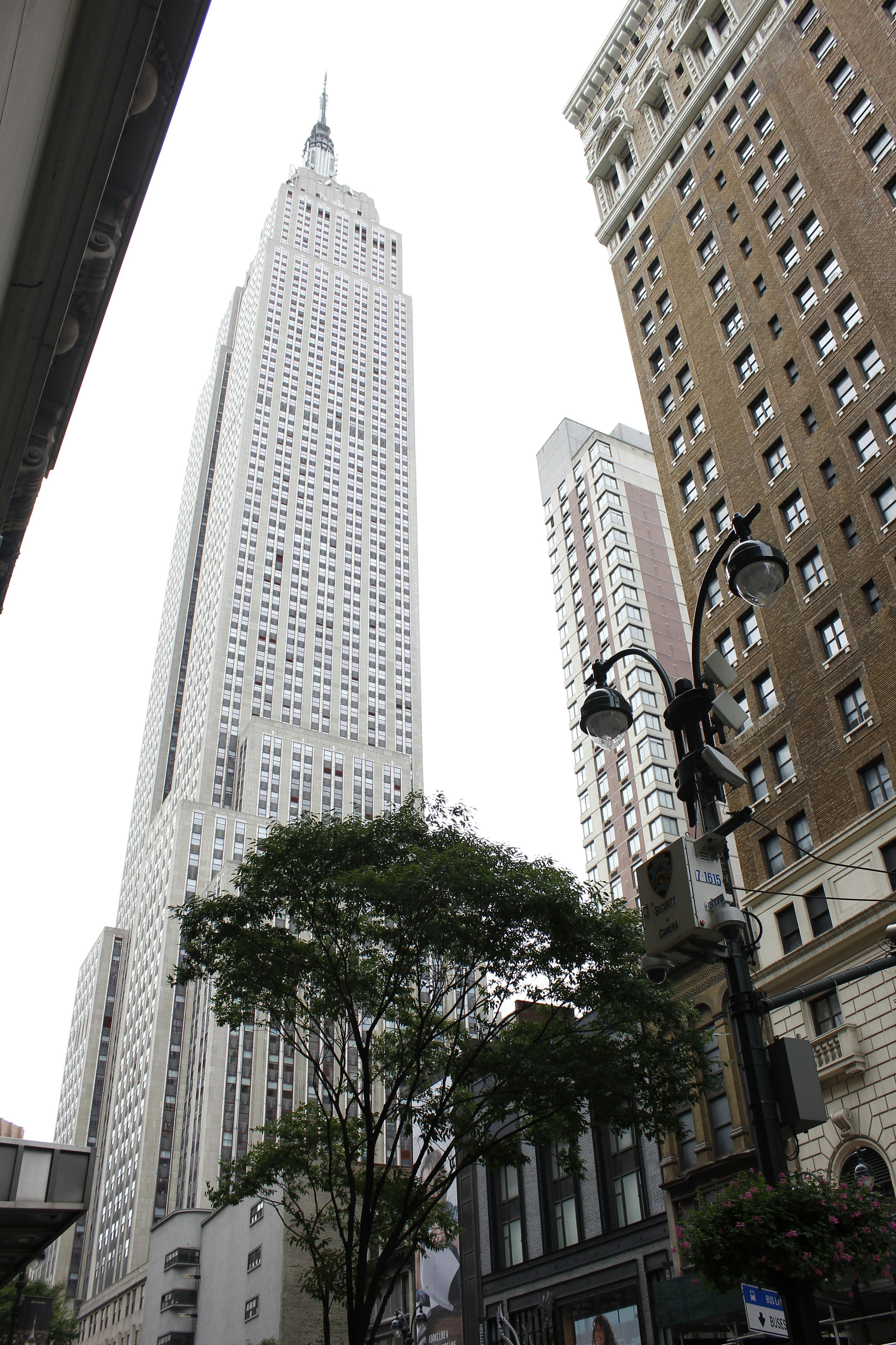 고양이-소 자세를 하는 여성