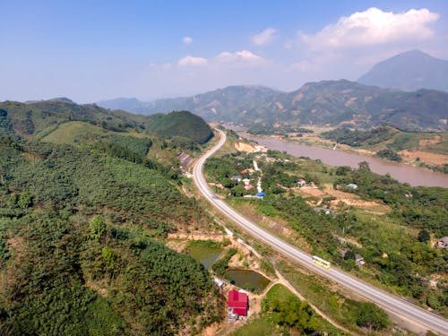 Aerial View of Green Trees Near the Road