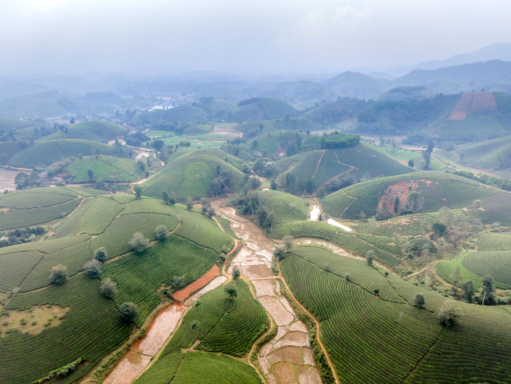 A breathtaking aerial view of lush green terraced fields and hills in Vietnam.