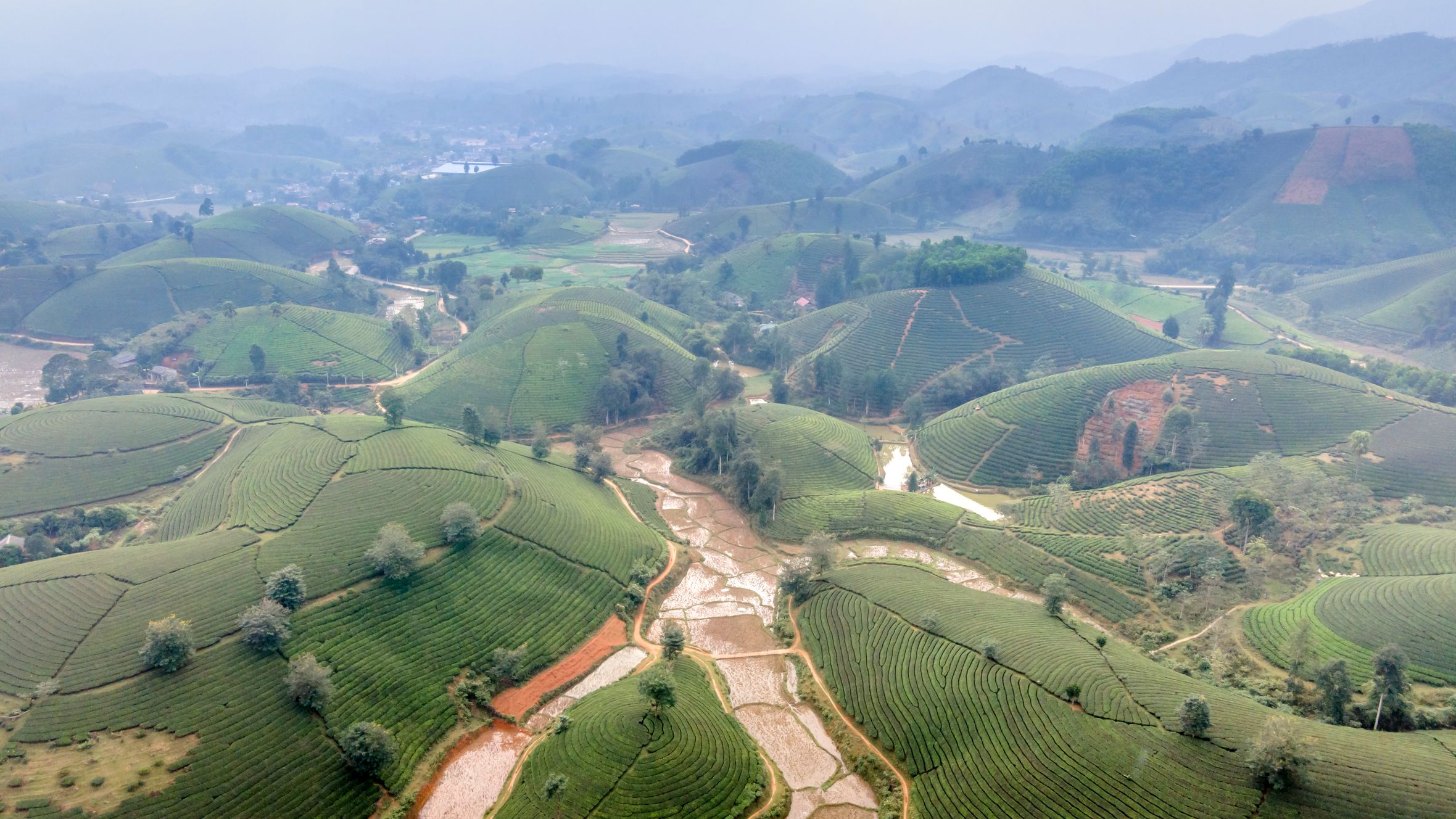 A breathtaking aerial view of lush green terraced fields and hills in Vietnam.