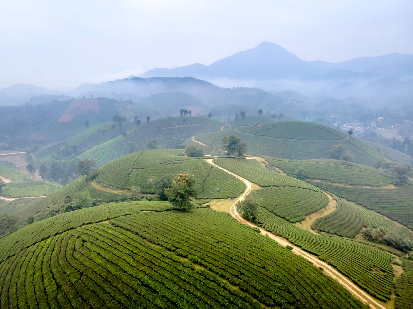 Aerial photo of lush green terraces in Sapa, Vietnam, surrounded by misty mountains.