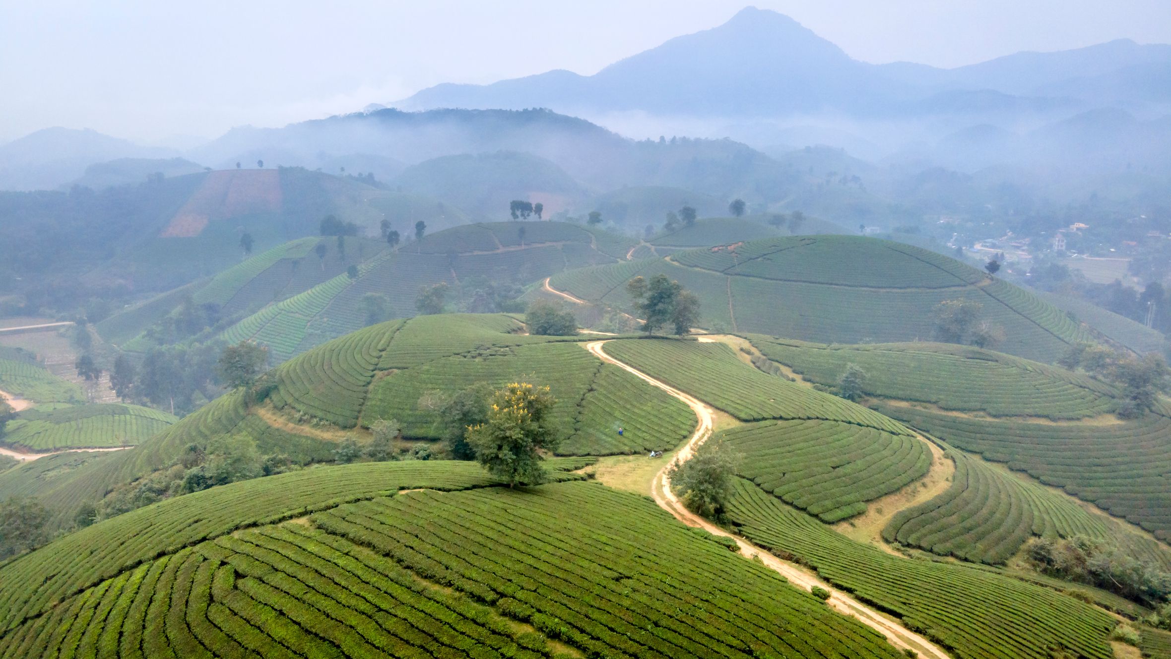 Aerial photo of lush green terraces in Sapa, Vietnam, surrounded by misty mountains.