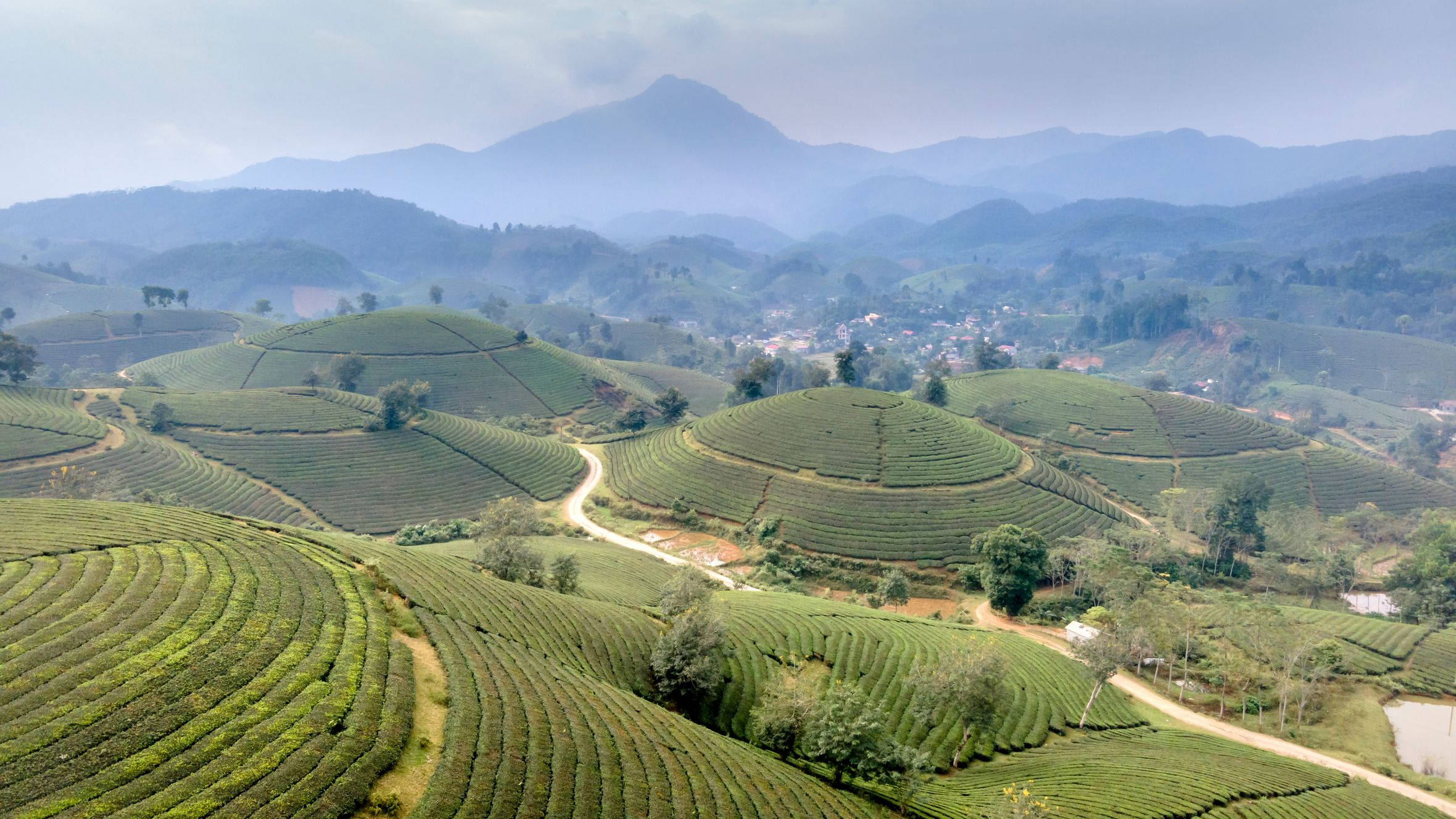 Explore the breathtaking aerial view of tea plantations amidst rolling green hills in Vietnam's scenic landscape.
