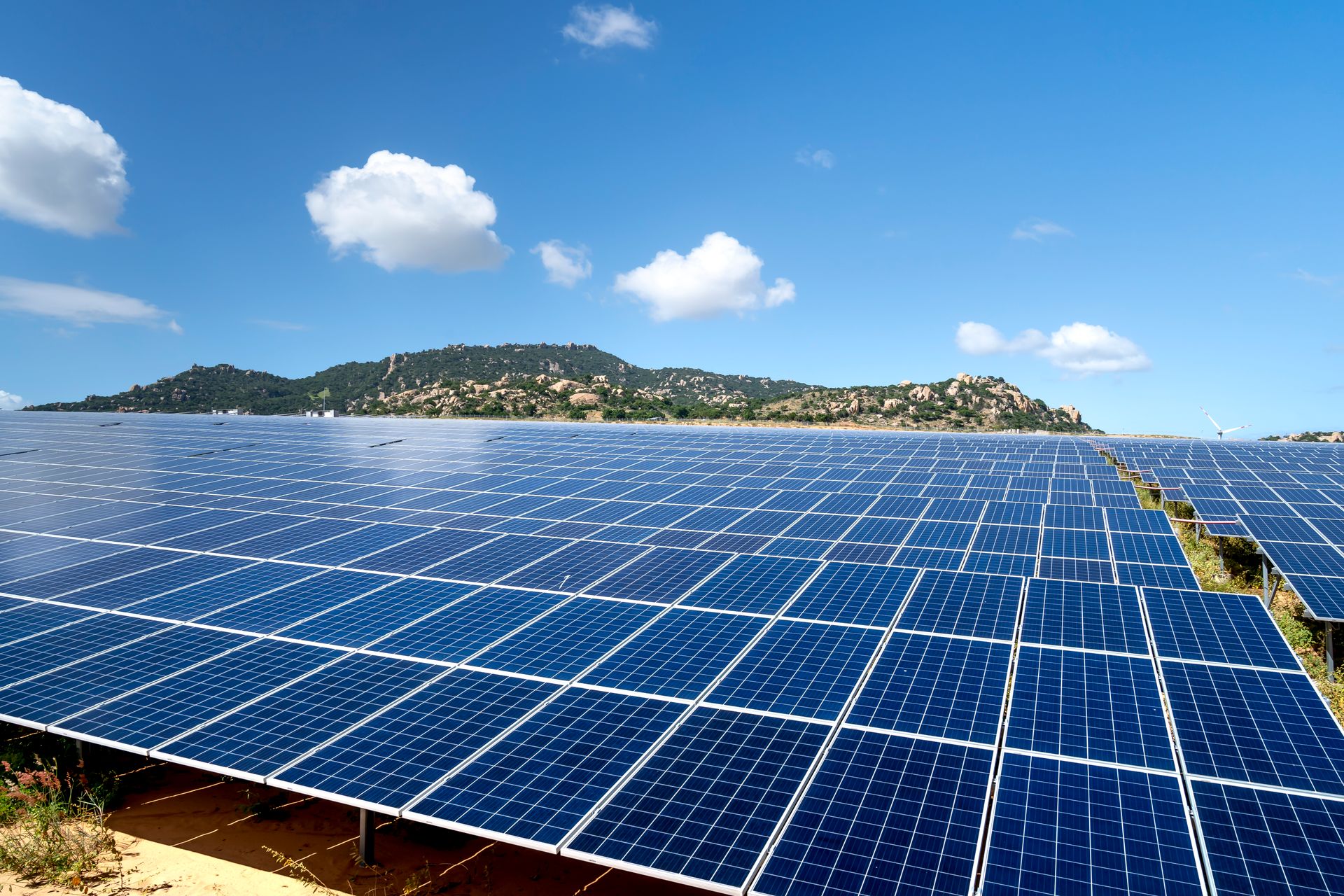 Solar panel farm under a blue sky