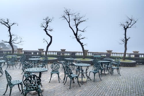 Free Green Metal Tables and Chairs Near the Leafless Trees Stock Photo