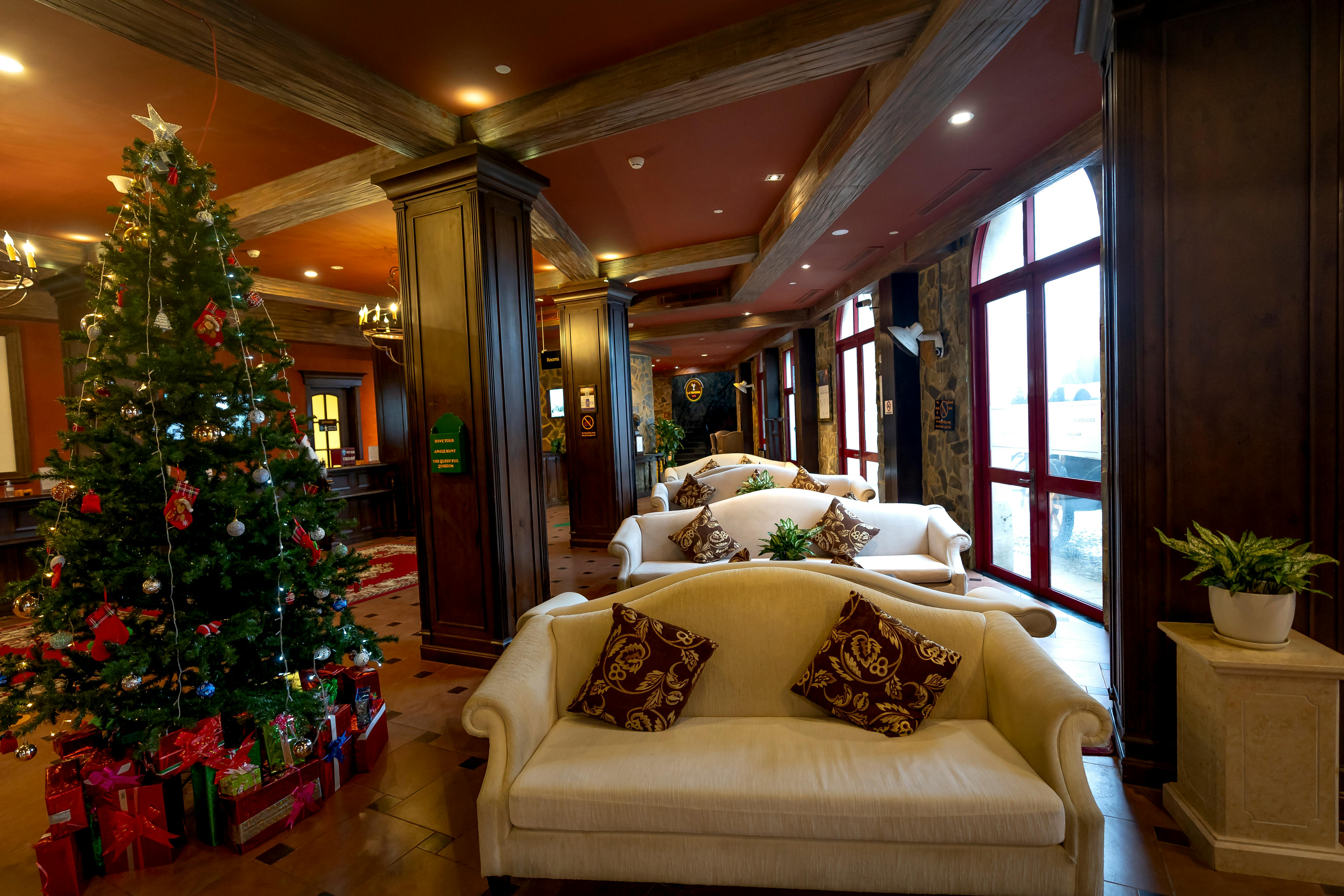 Elegant hotel lobby featuring a large Christmas tree and cozy sofa seating area, creating a festive holiday ambiance.