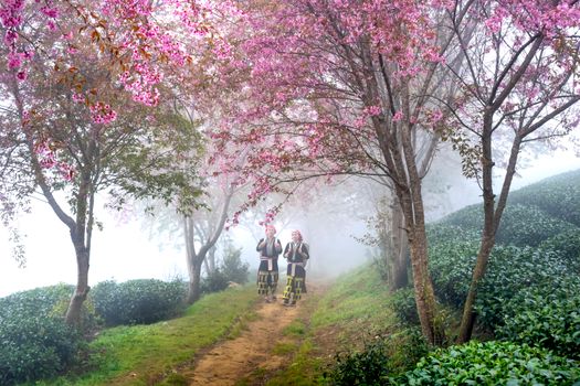 Women Walking on the Dirt Road