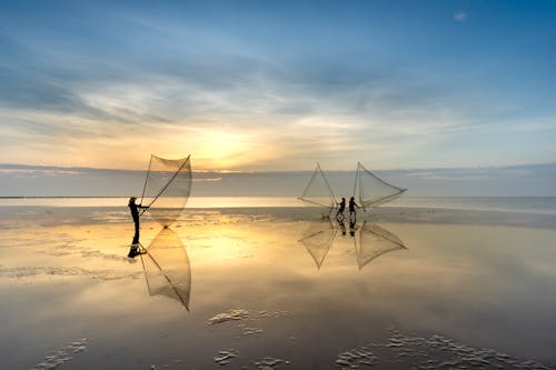 Free Men Throwing Fishing Nets in Sea at Dusk in Vietnam  Stock Photo