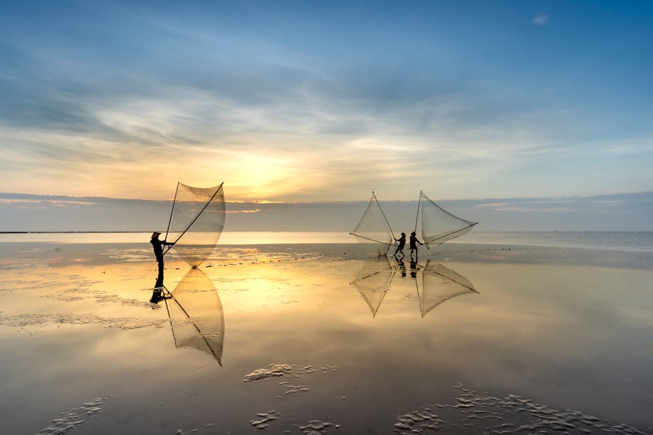 Men Throwing Fishing Nets in Sea at Dusk in Vietnam · Free Stock Photo