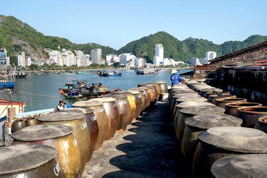 Linh Fish Ferment (Mam Ca Linh)