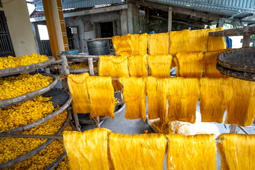 Production of Silk in Vietnam 