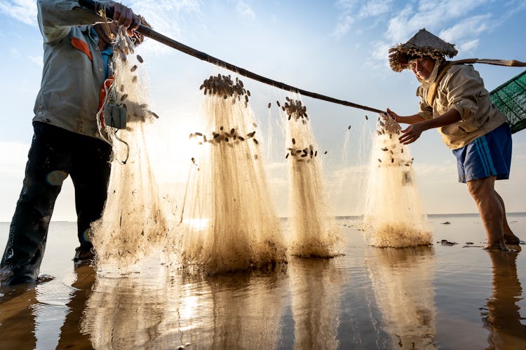 Woman And Man Holding Nets With Fish