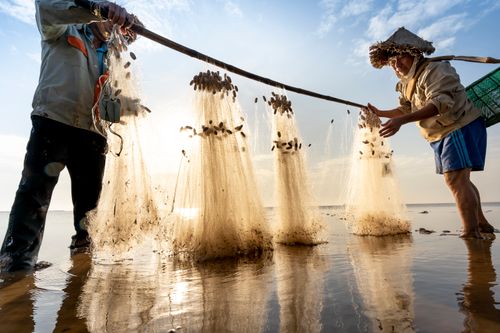 Free Two fishermen handling nets in the water as sunlight breaks through. Stock Photo