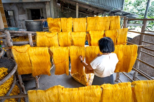 Photo by Quang Nguyen Vinh