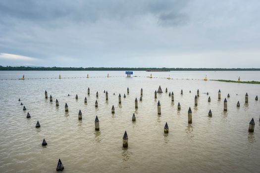 Wooden Stakes in Water in Bach Dang River