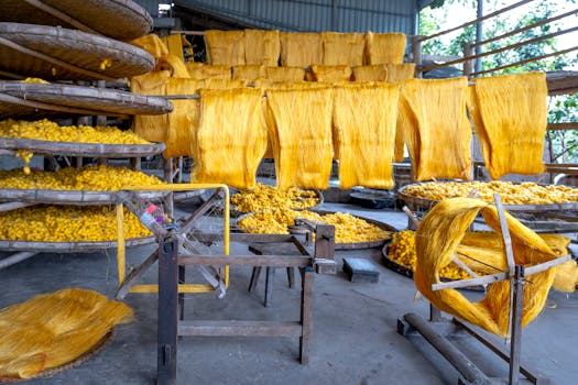 Vibrant yellow silk threads drying in a traditional textile factory.