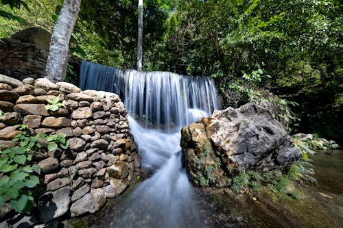 бесплатная Бесплатное стоковое фото с водопад, деревья, камни Стоковое фото