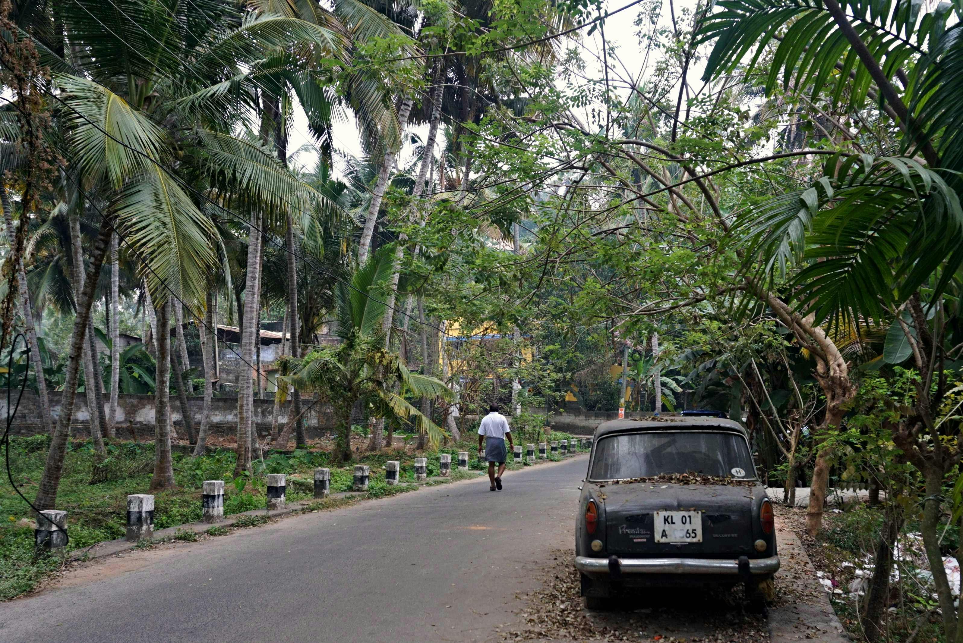 general education department kerala — Photo by Stephanie Loewe on Pexels