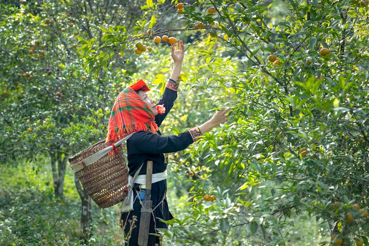 Woman Picking Up Fruit