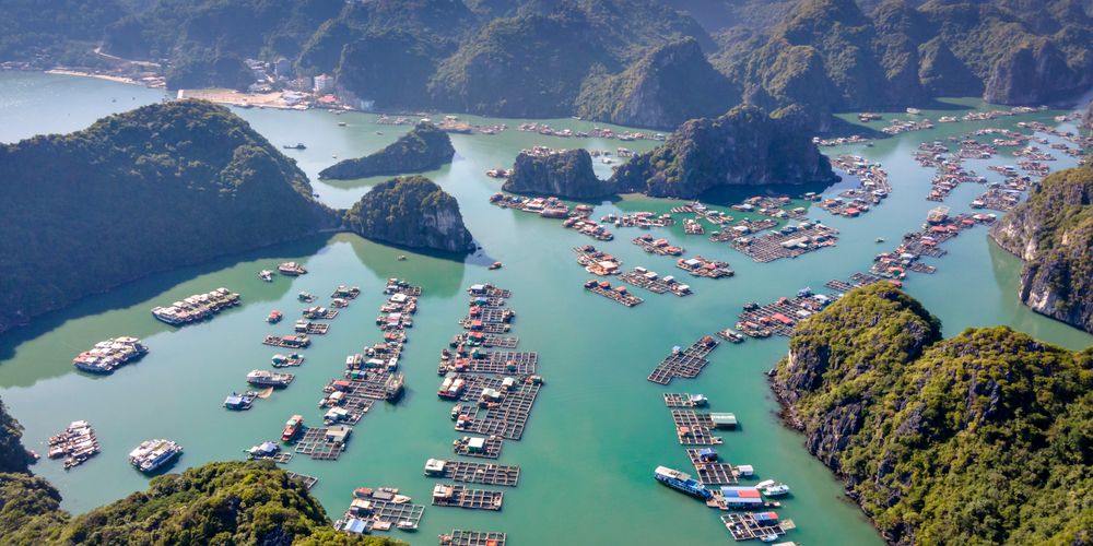 Quảng Ninh Đề Xuất Đấu Thầu Toàn Diện Vịnh Hạ Long, Hướng Tới Mô Hình Quản Trị Di Sản Tích Hợp