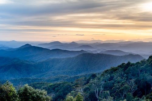 Green Trees on Mountains