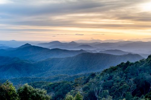 Free Tranquil view of misty mountains at sunrise with lush forest in foreground. Stock Photo
