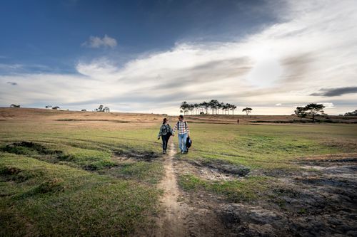 Free A couple holds hands while walking through a vast open field under a cloudy sky. Stock Photo