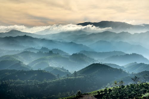 Free Green Trees on Mountain Under White Clouds Stock Photo