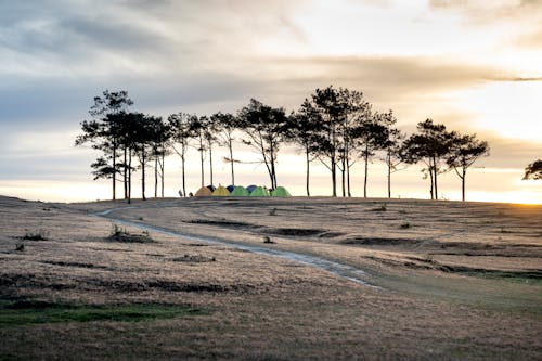 Dome Tents Under Trees on a Brown Grass Field as Sunset