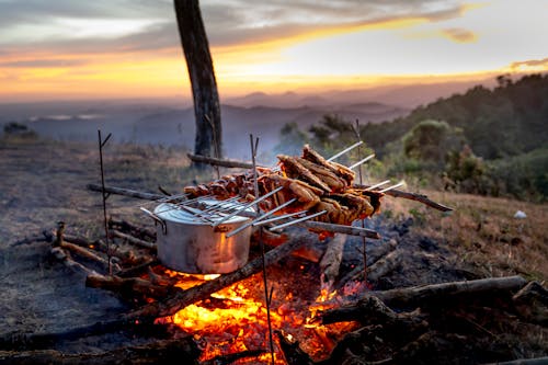 Free Photo of Chicken Meat being Cooked Over a Campfire Stock Photo