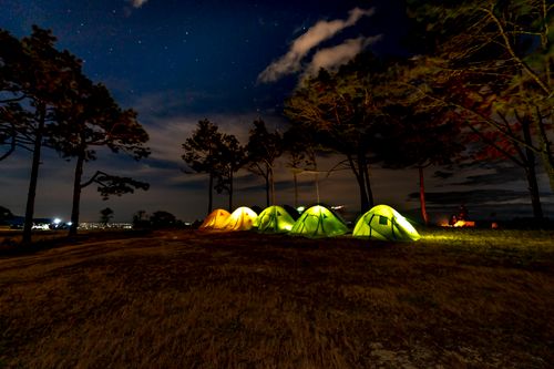 Free Illuminated tents under a starry sky in a pine forest at night. Stock Photo