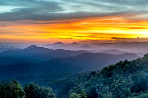 Green Trees on Mountain Under Golden Hour Sky