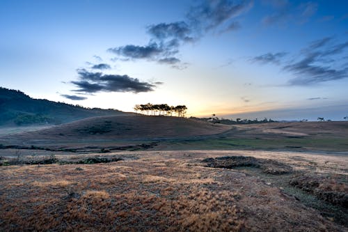 Foto d'estoc gratuïta de a l'aire lliure, alba, arbres