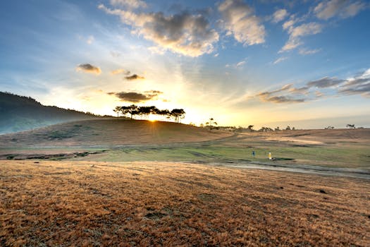 A beautiful sunrise illuminates the rolling hills and scattered trees, creating a serene landscape.