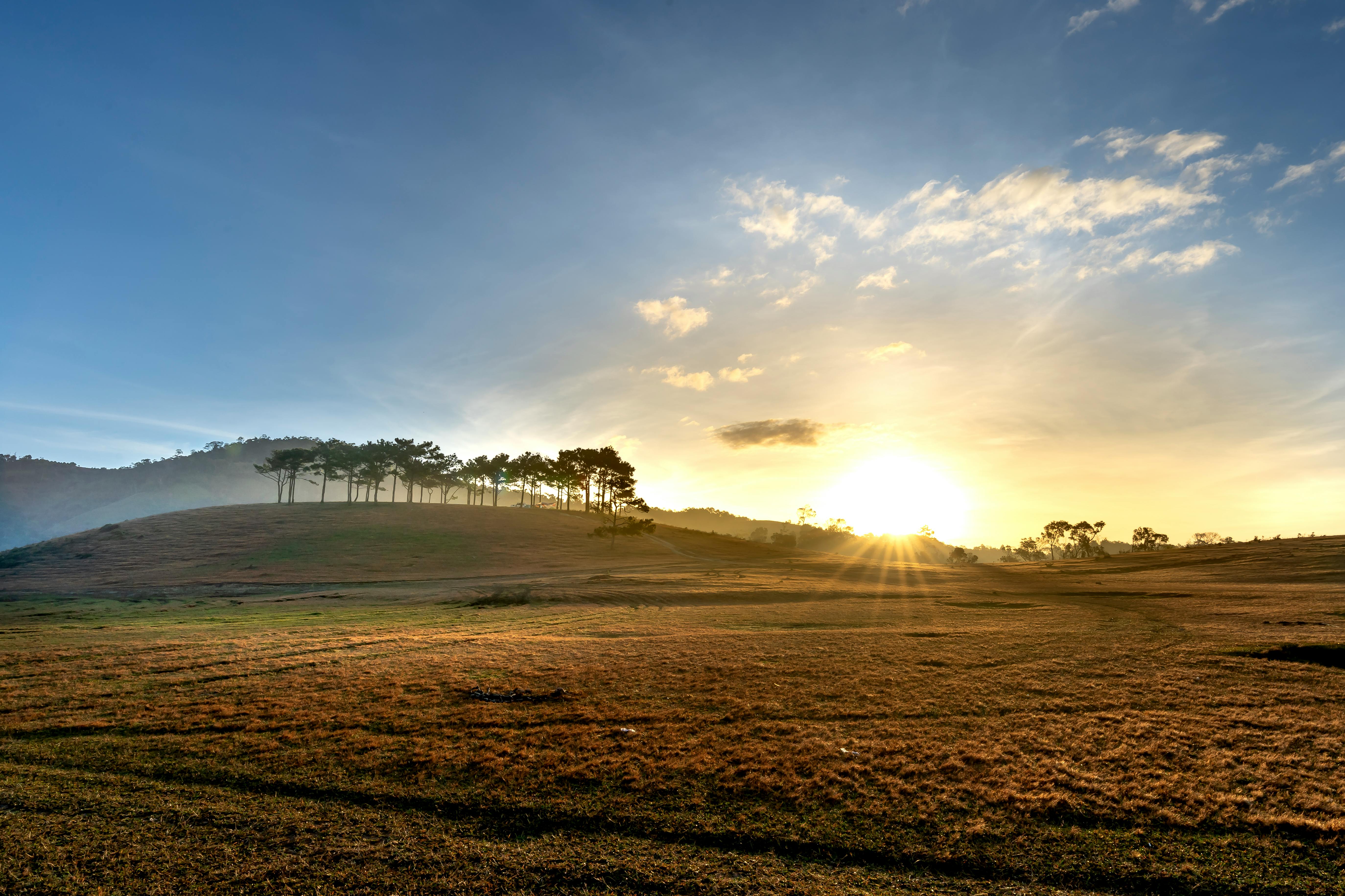 Nowe przepisy o zdrowiu zwierząt w życie od 18 marca 2026