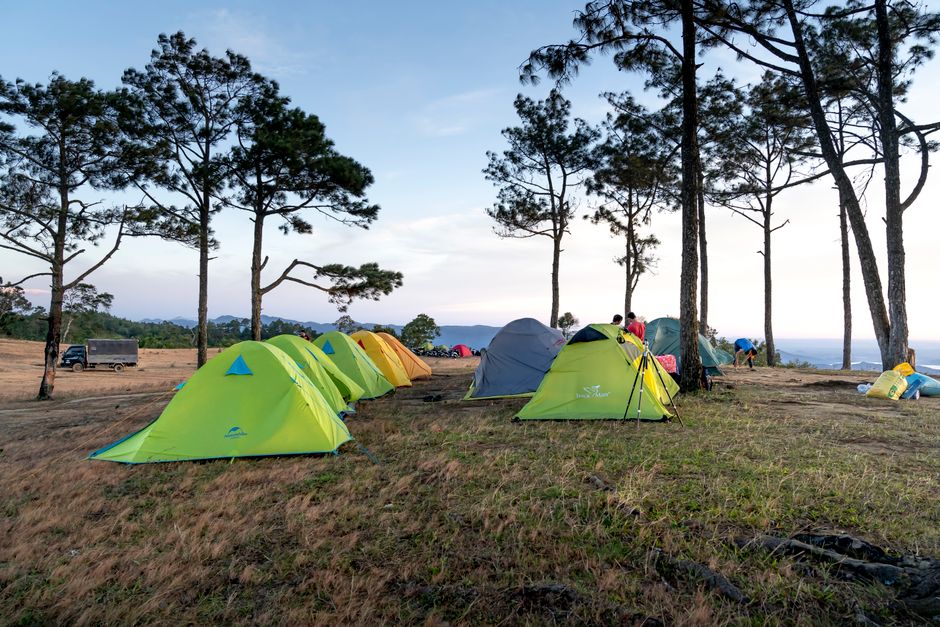 Fotomural Una serena escena de camping de verano con tiendas montadas en un campo de césped bajo un cielo azul claro.