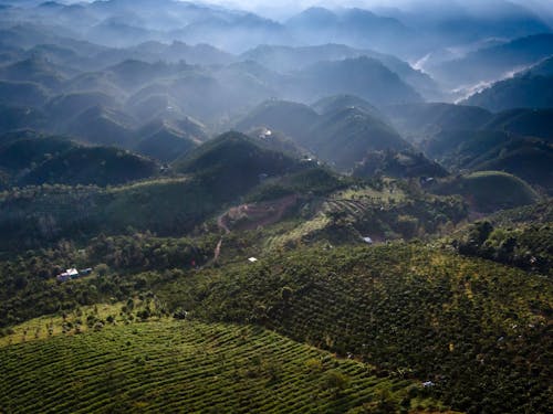 Farm Field on the Mouontains