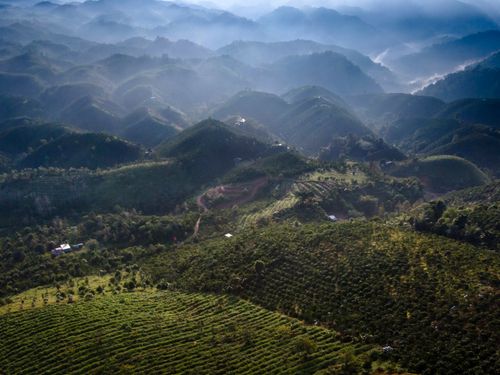 Free Aerial view of lush farmland and rolling hills shrouded in mist, evoking tranquility and natural beauty. Stock Photo