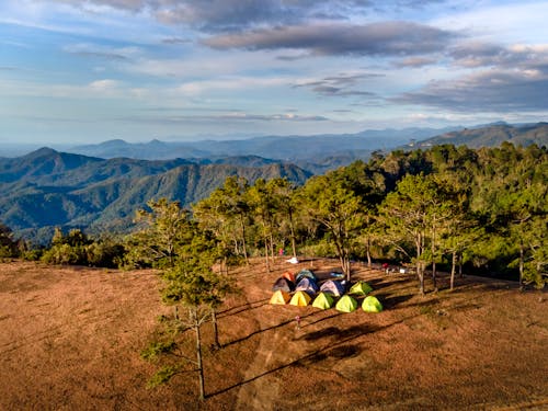 Free Dome Tents Near Trees Under a Blue Sky Stock Photo