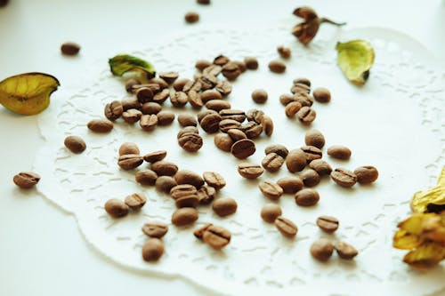 Free Brown Coffee Bean on White Surface Stock Photo