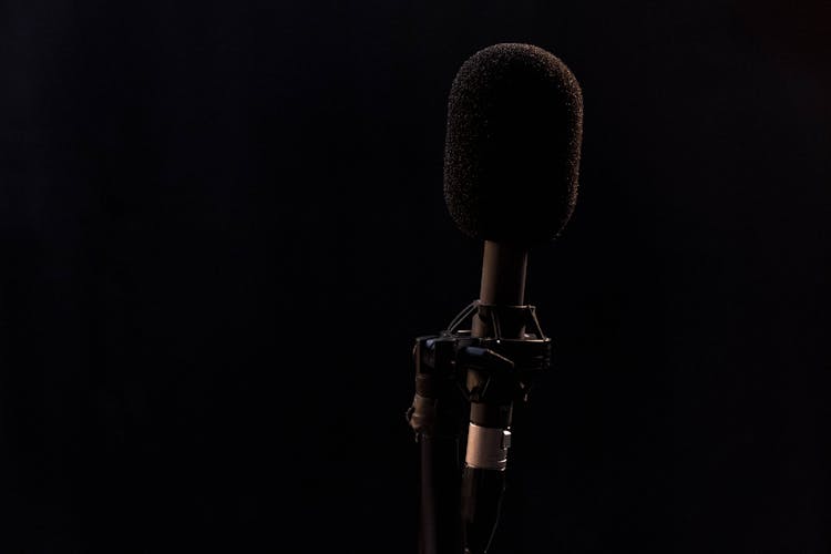 Black And Silver Microphone With Stand