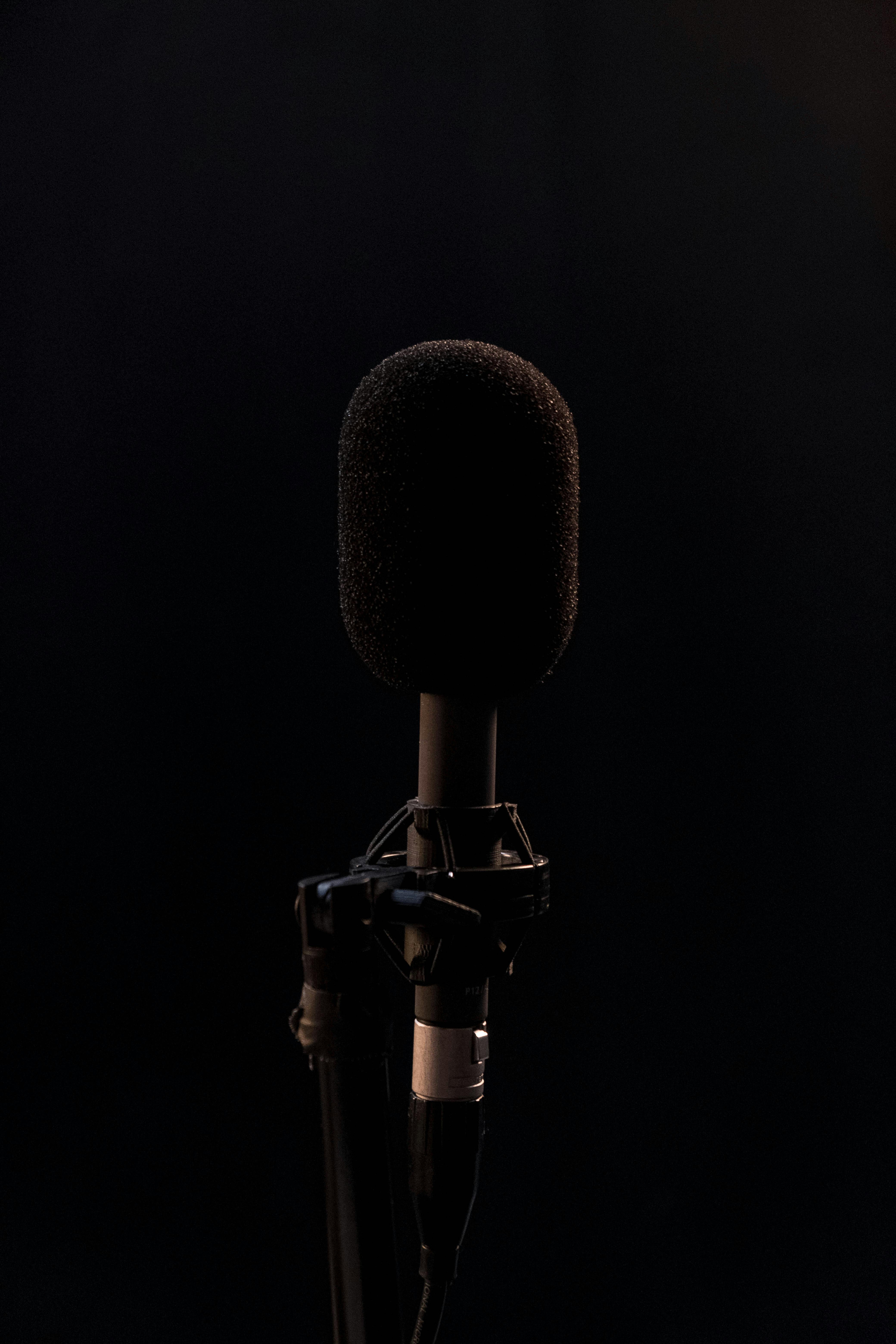 Mic Singing Ipad Wallpaper - HD iPad Wallpapers 4k iPad Wallpapers 5k free  download iPad Pro,iPad Mini,iPad Air,iOS,iPadOS,Parallax,iPad retina  Wallpapers