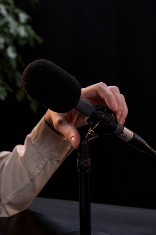A Person Holding a Microphone