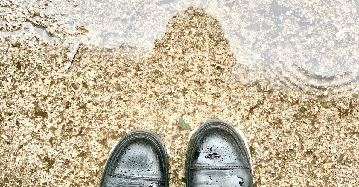 How to soften leather shoes with wet newspaper