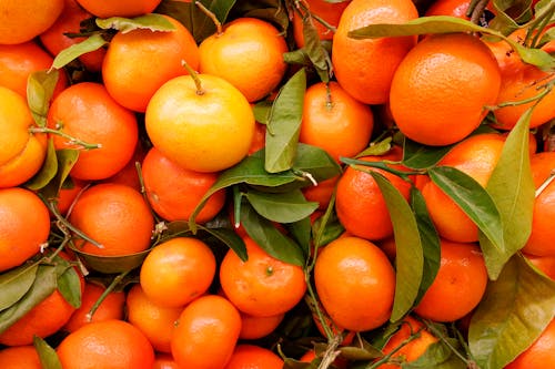 Close-Up Shot of Orange Fruits