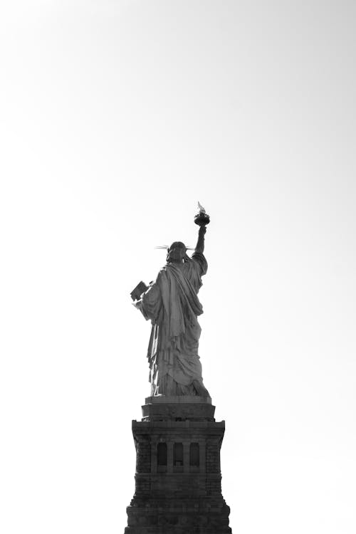 Black and White Back View of a Statue