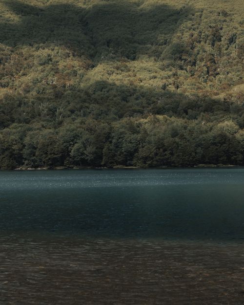 Free Tranquil view of a forest-lined lake under soft light, ideal for nature themes. Stock Photo