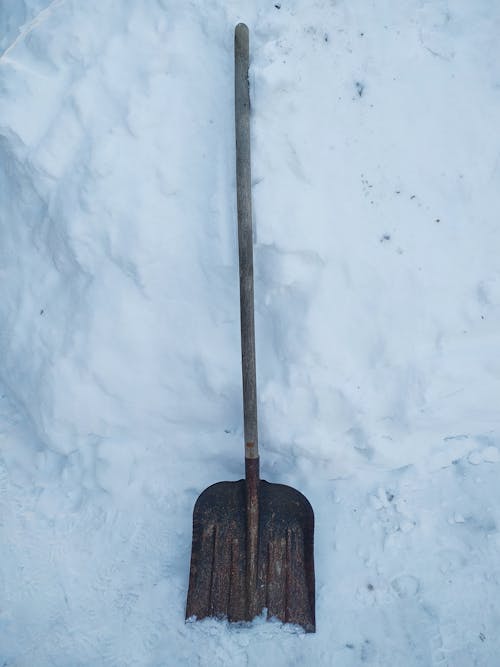 dikey atış, kar, kış içeren Ücretsiz stok fotoğraf