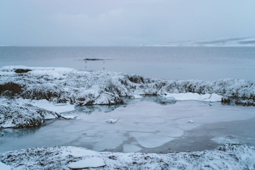 Serene view of a frozen arctic shoreline with snow-laden rocks and a calm sea during winter.